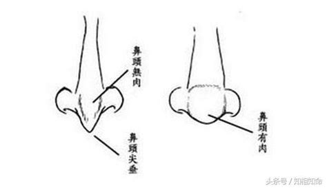 鼻頭有肉 內心無毒|這樣面相的人，心慈善良信佛，一生平安！